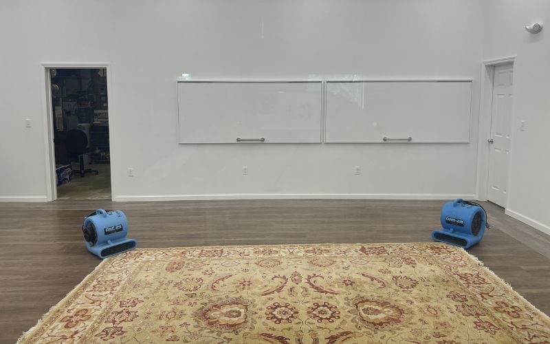 Area rug and oriental rug cleaning