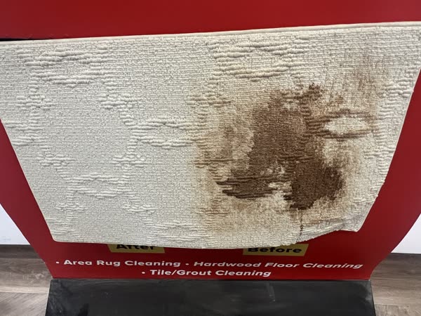 Close-up of carpet stain removal, before and after
