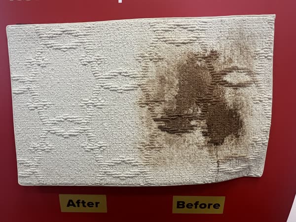 Close-up of a soiled carpet section cleaned back to original colour