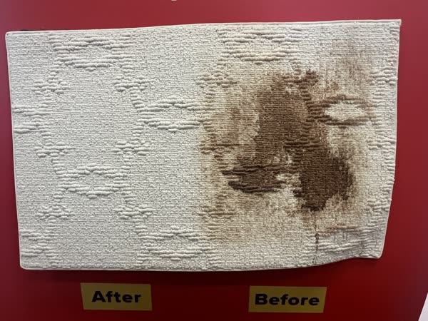 Carpet stain lifted during hot water extraction, before and after
