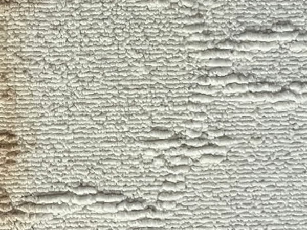 Carpet fibers restored after professional cleaning