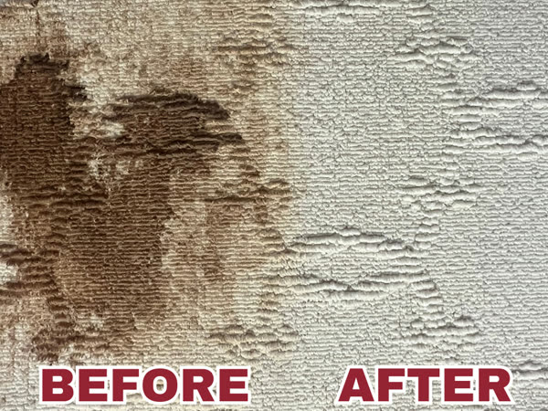 Carpet stain removal shown side by side, before and after