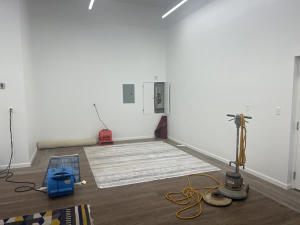 Area rug cleaning with a buffer machine and air movers