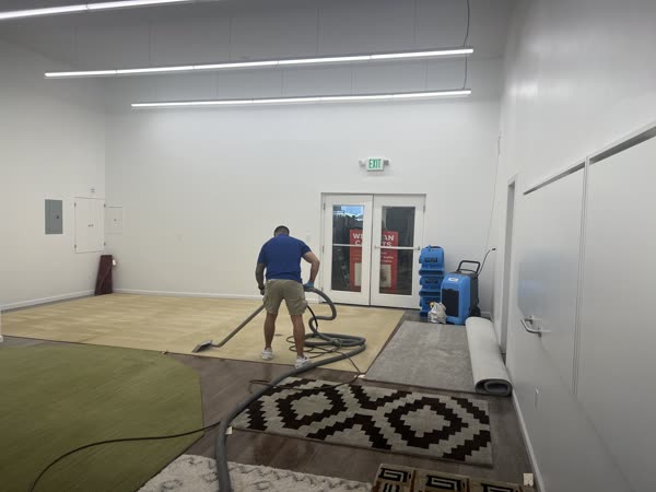 Technician cleaning carpet with air movers drying the floor behind him
