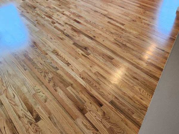 Refinished hardwood floor with a glossy finish in a room corner