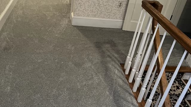 Before & After: New Carpet Install