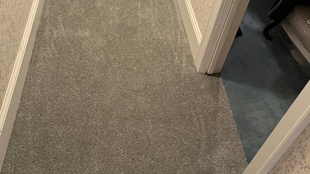 Full Carpet & Staircase Install