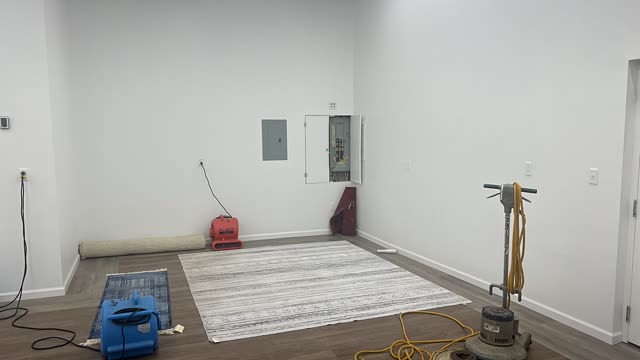 Wine Stain Rescue: Area Rug Cleaning